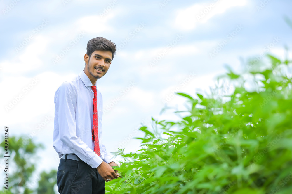 young indian agronomist at field young indian agronomist at field
