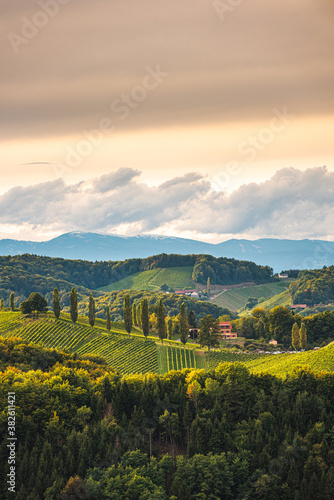 Fototapeta Naklejka Na Ścianę i Meble -  Styrian Tuscany Vineyard in autumn near Eckberg, Gamliz, Styria, Austria