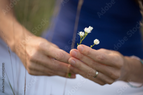Close up of female hands holding wild flower
