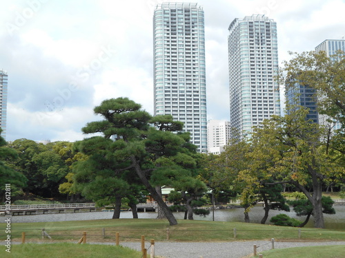 秋の日本庭園（東京）  © IEYASU