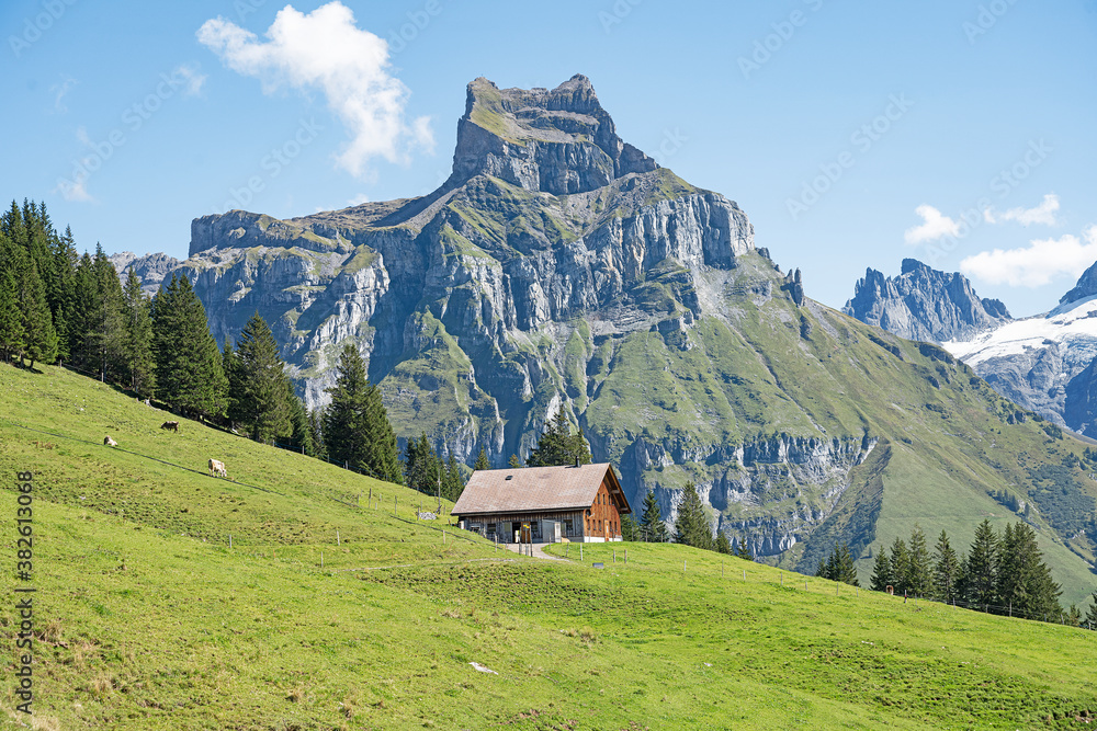 Bergspitze 