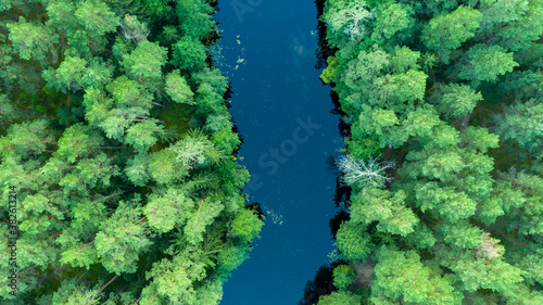 Areal photo of river in the forest, Lithuania, Druskininkai