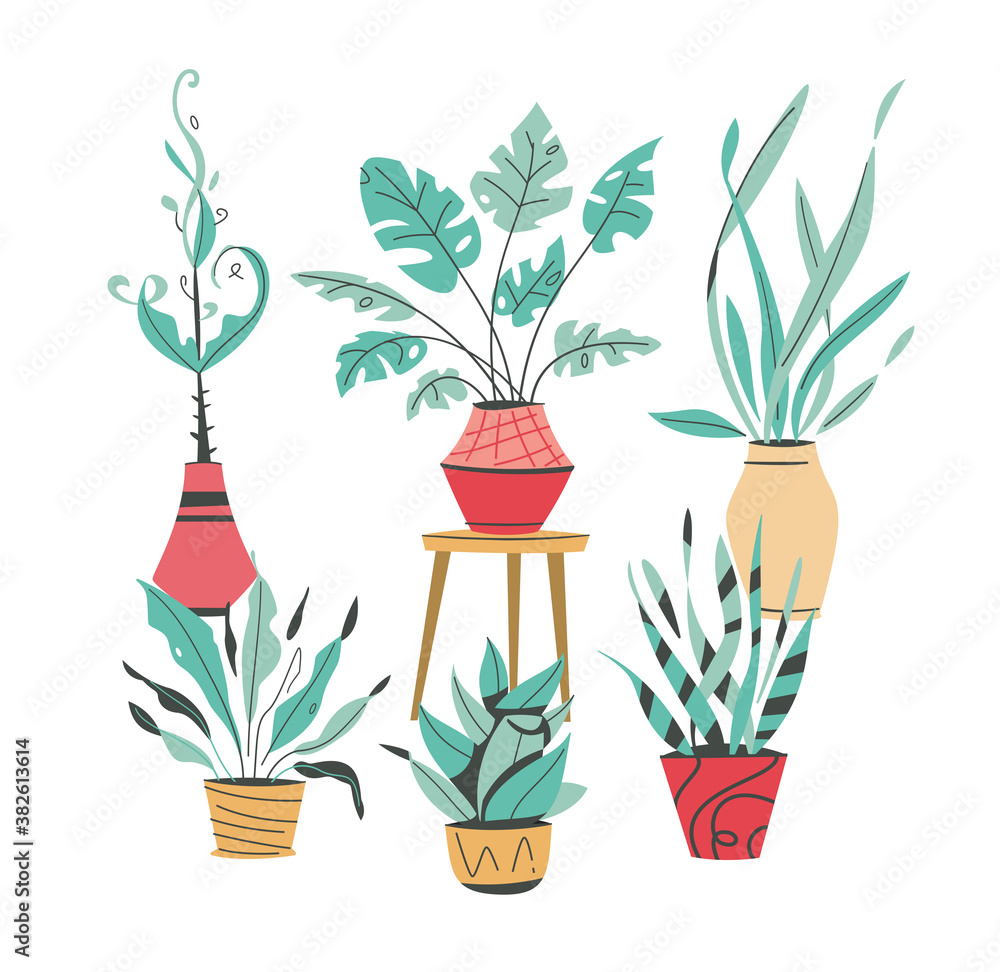 Potting trees, flowerpots hanging, plants in pots set isolated objects Potting trees, flowerpots hanging, plants in pots set isolated objects