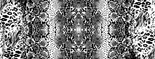 Snake skin pattern texture vector monochrome black and white. Vector. Texture snake. Fashionable print. Fashion and stylish background