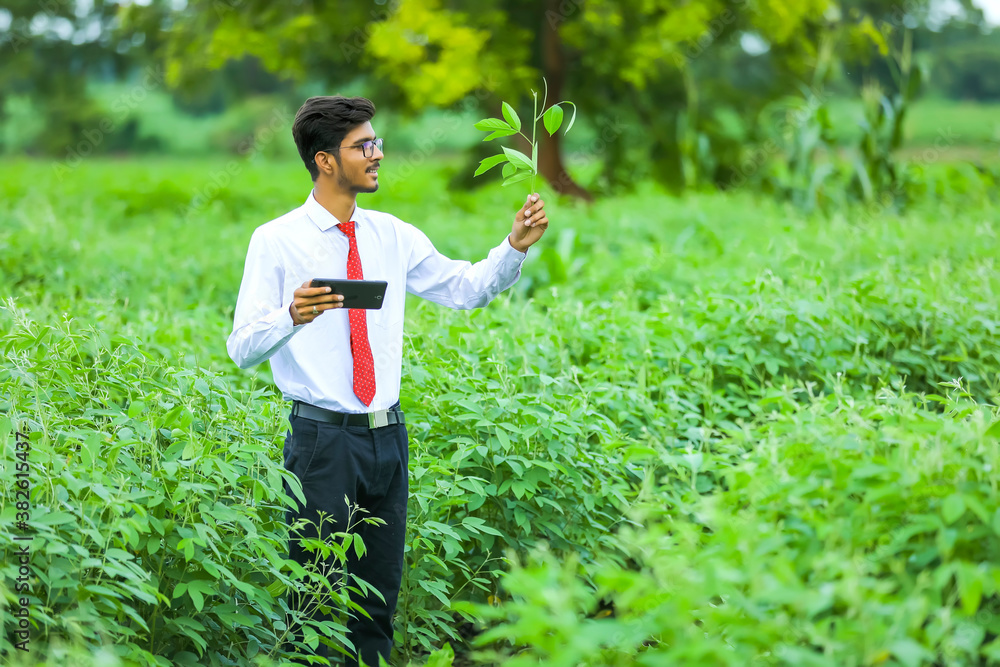 Technology and people concept, Young indian agronomist with tablet at field Technology and people concept, Young indian agronomist with tablet at field