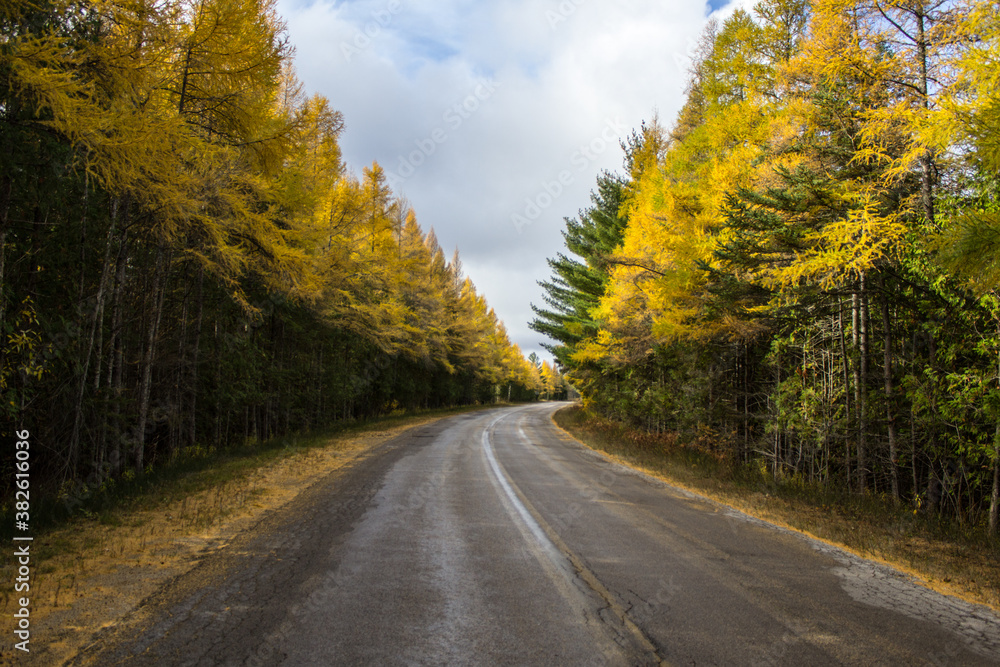 Autumn Road Trip. Paved country road winds through a hardwoods forest in northern Michigan.