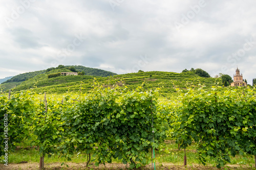 View on Col San Martino among the Prosecco vineyards in Valdobbiadene, Treviso Italy