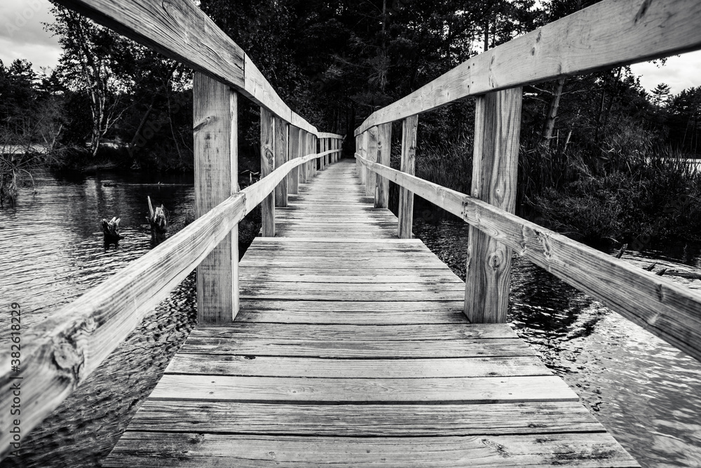 Wooden bridge leads into dark mysterious forest. Wooden bridge leads into dark mysterious forest.