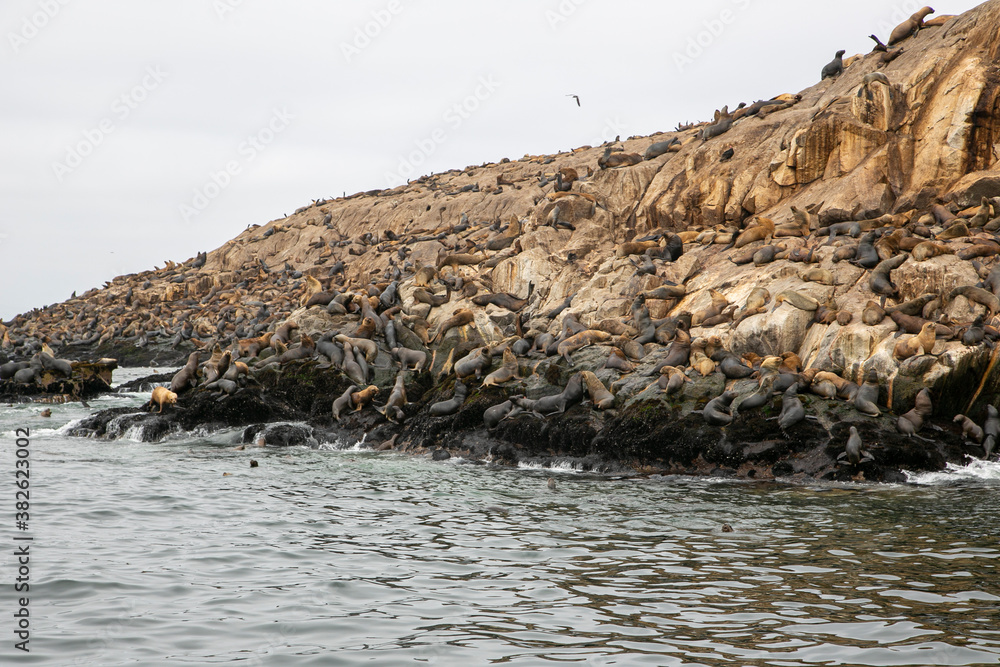 Stone islands in the Pacific Ocean, in front of Lima. Stone islands in the Pacific Ocean, in front of Lima.