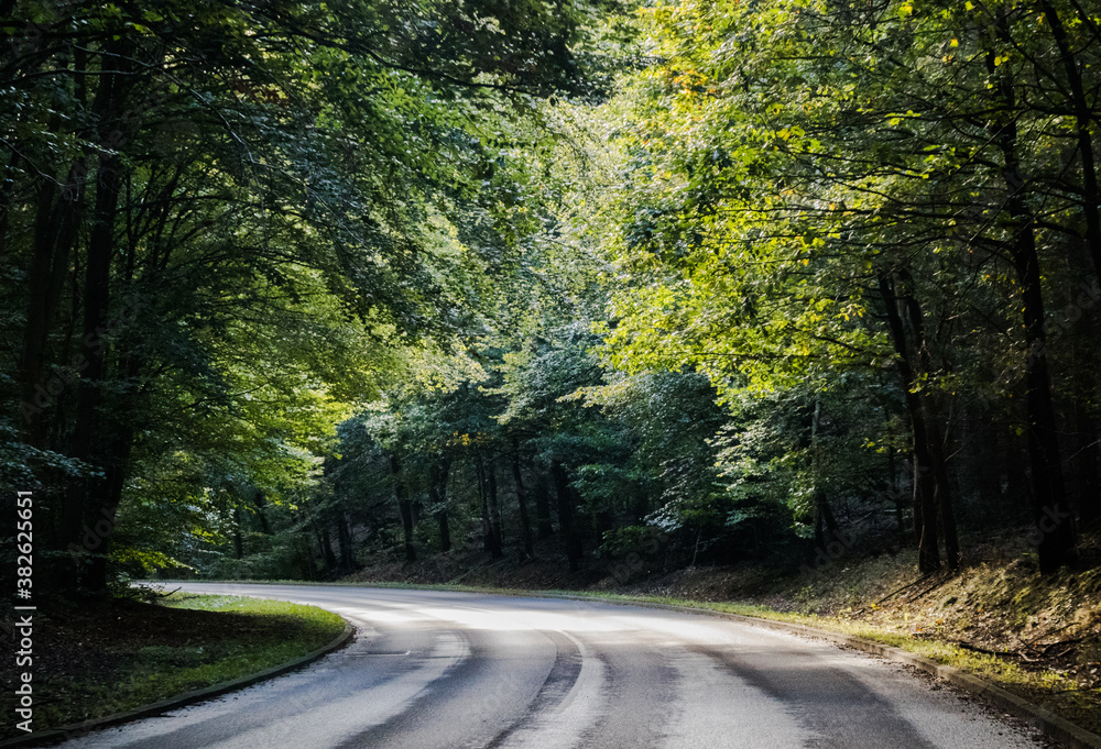 Obraz premium Landstraße mit uneinsehbarer Kurve im Wald 