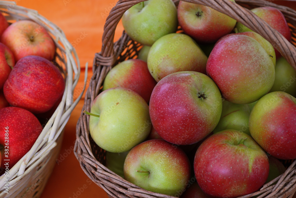 Ripe apples in wicker bscket. Nobody. Ripe apples in wicker bscket. Nobody.