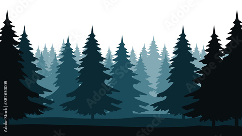 Fotografie Forest landscape with silhouettes of coniferous trees