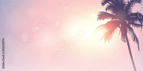 palm trees silhouette on a sunny day summer holiday design vector illustration EPS10
