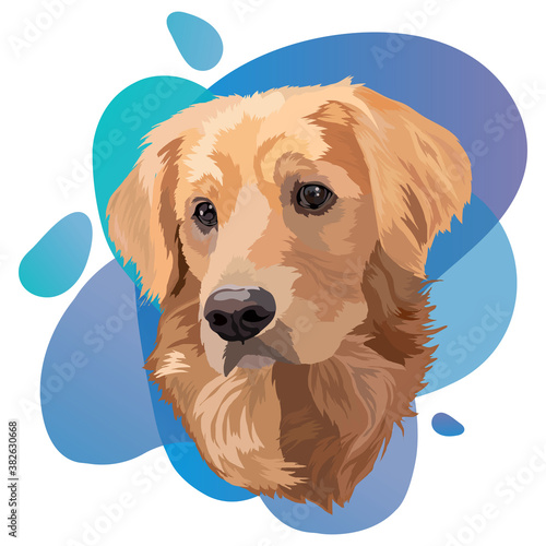 Portrait of dog.Golden Labrador Retriever Head Vector Illustration.Trend