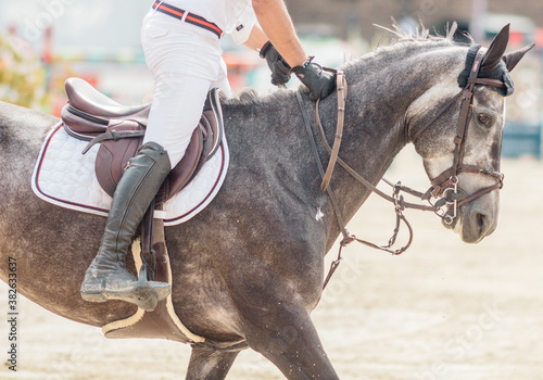 concours d'équitation, gros plans sur le cheval et son cavalier