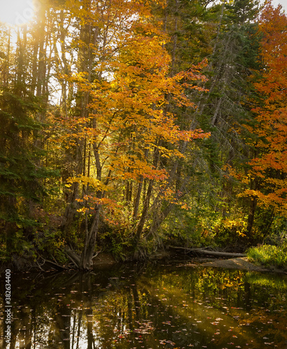 Fototapeta Naklejka Na Ścianę i Meble -  Fall foliage in Maine