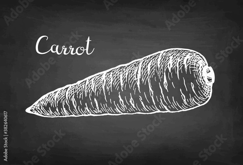 Chalk sketch of carrot.