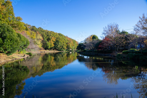池のある公園の美しい景色