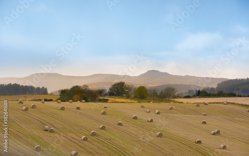 Birnam Hill in the distance - beautiful golden autumn in Perthshire, Scotland photo