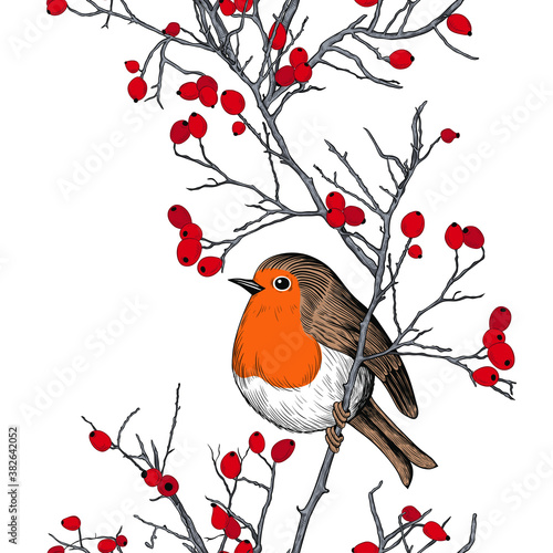 .Seamless border pattern with a Christmas Robin. Vintage vector texture. Color sketch.