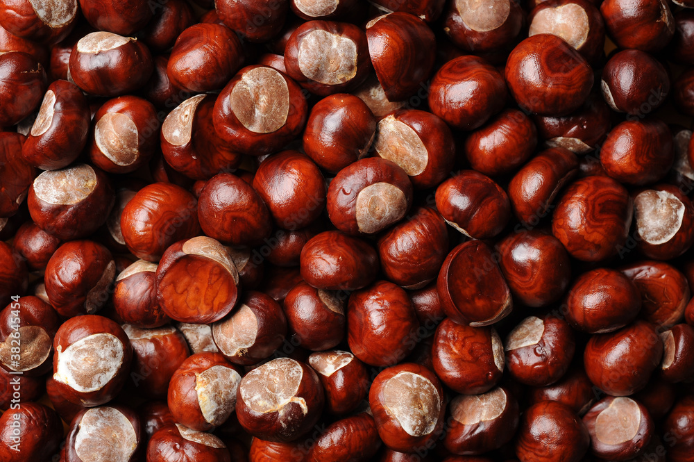 background of many chestnuts photographed with studio light.
background of many chestnuts photographed with studio light.