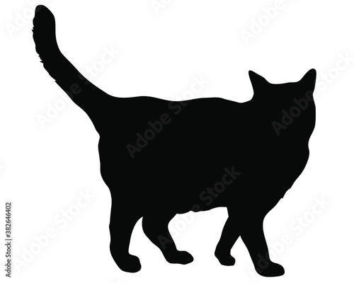 Vector silhouette of the cat - Isolated on white background 猫のベクターイラスト