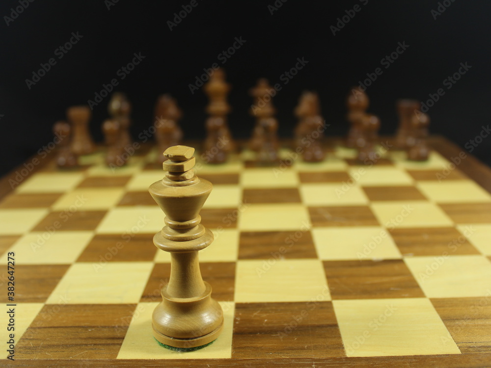 beautiful chess game with different figures strategy fun culture