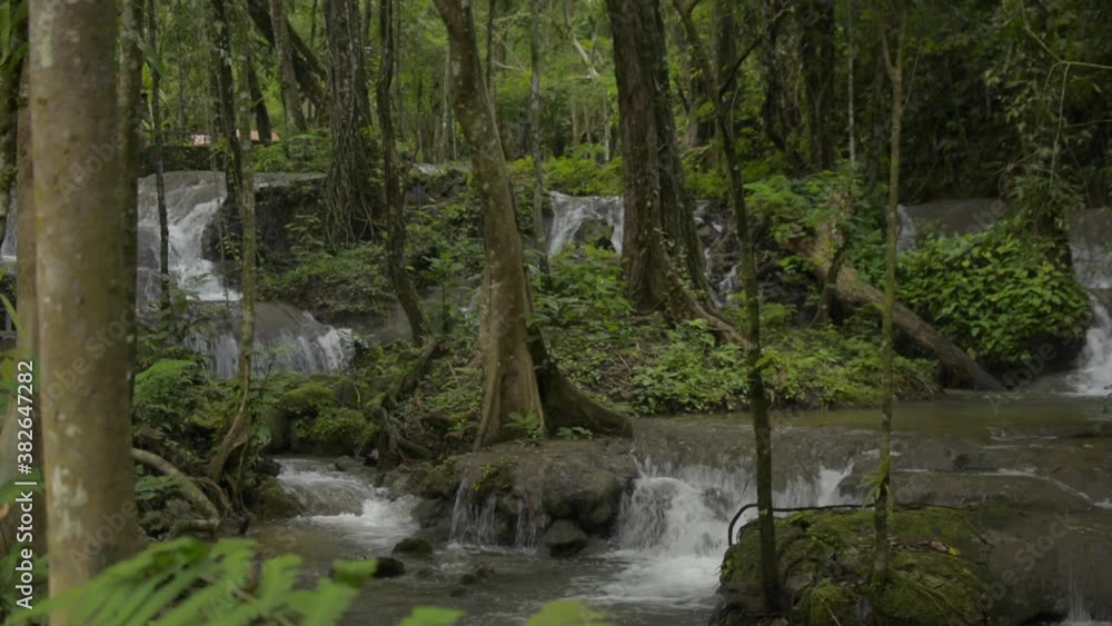 Cascade flows through the rock among green plants during rainy season. Beauty in nature. Streams rapid flowing from waterfall in tropical forest. Phang Nga Province. Thailand. Parallax shot. Cascade flows through the rock among green plants during rainy season. Beauty in nature. Streams rapid flowing from waterfall in tropical forest. Phang Nga Province. Thailand. Parallax shot.