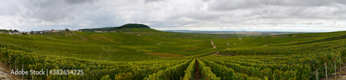 Fényképezés Landscape with green grand cru vineyards near Cramant, region Champagne, France in rainy day