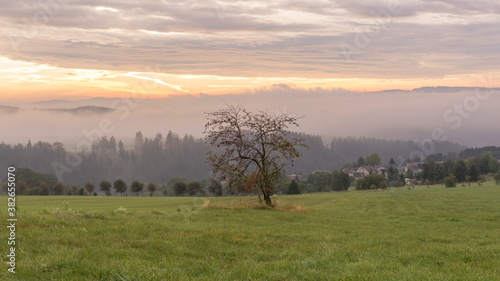 Nebliger Morgen in Thüringen