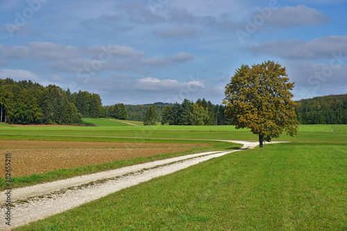 Herbstlandschaft auf der Schwäbischen Alb