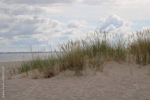 Being isolated in the dunes at Ellenbogen in the North of Sylt close to the village of List
