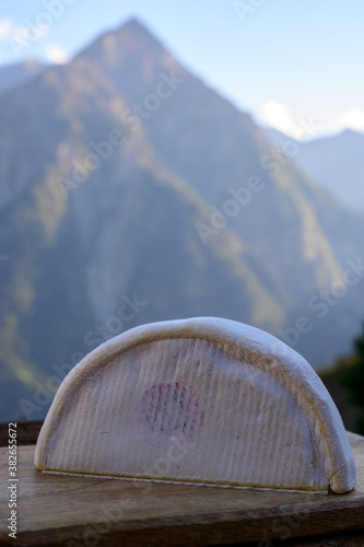 Cheese collection, French reblochon de savoie cheese served outdoor in Savoy region, with Alpine mountains peaks on background photo