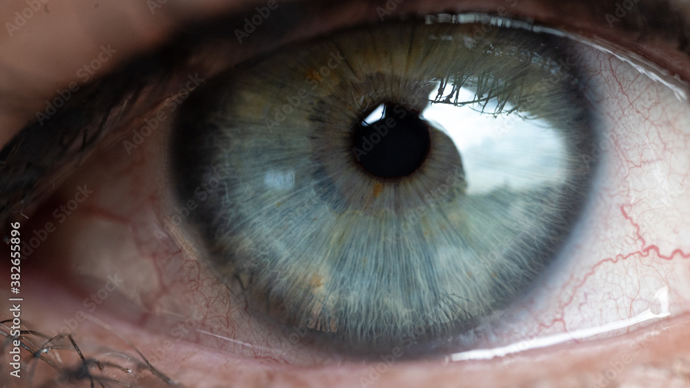 Naklejka premium Macro Eye Collection