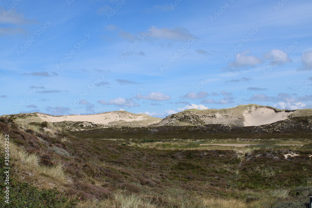 Being isolated in the dunes at Ellenbogen in the North of Sylt close to the village of List Being isolated in the dunes at Ellenbogen in the North of Sylt close to the village of List
