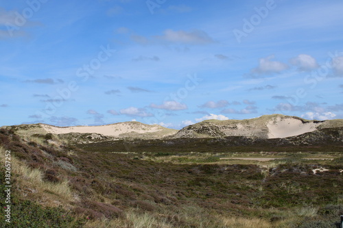 Fototapeta Naklejka Na Ścianę i Meble -  Being isolated in the dunes at Ellenbogen in the North of Sylt close to the village of List