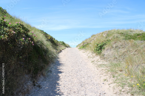 Being isolated in the dunes at Ellenbogen in the North of Sylt close to the village of List