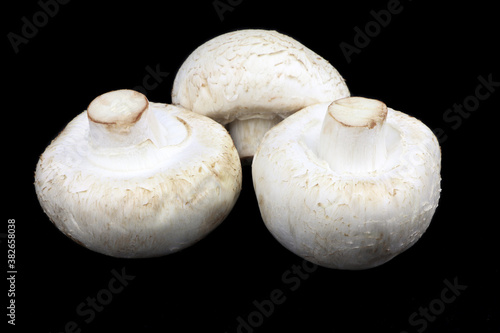 Mushrooms champignons isolated on a black background. Vegan food. Healthy food