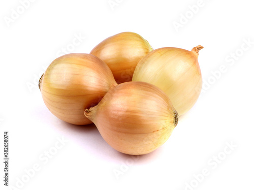 Onion isolated on a white background. Ripe onion. Healthy food. Vegan food. Vegetables