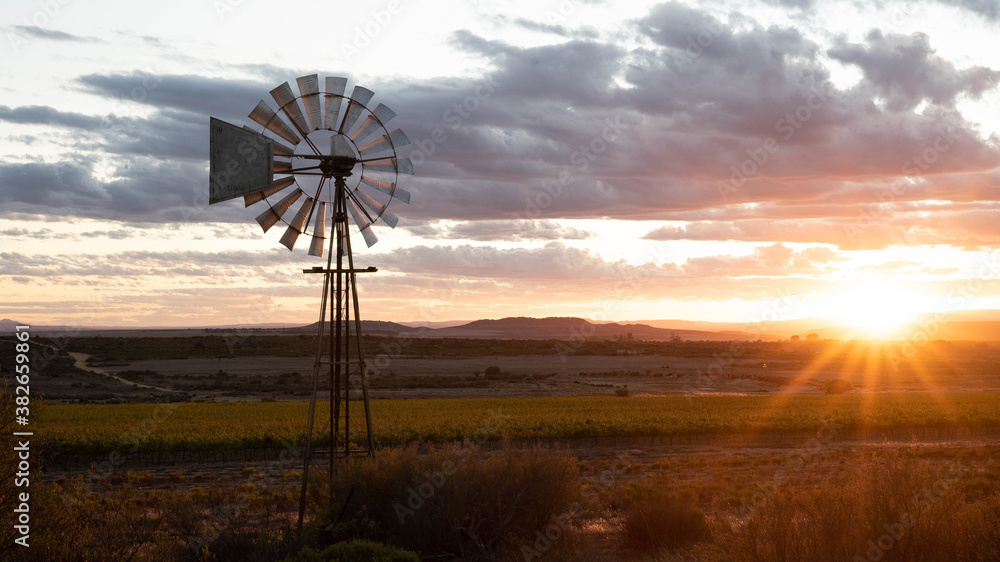 Windmill sunrise