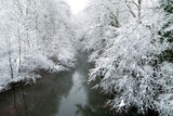 Snowy trees on the banks of the river Bayas in the Gorbeia Natural Park, Murgia, Alava, Spain