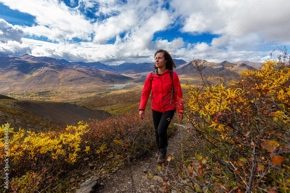 Obraz premium Scenic View of Woman Hiking on a Cloudy Fall Day in Canadian Nature. Taken in Tombstone Territorial Park, Yukon, Canada.