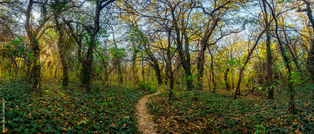 Fototapeta premium Rinconada Panoramica
