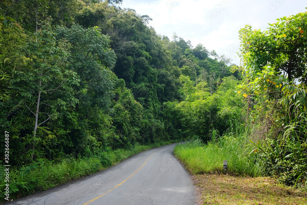 Curve road in tropical forest on the mountain in countryside of Thailand