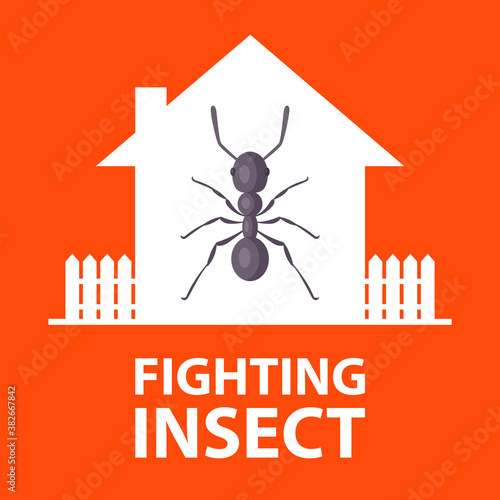 termites started in a private house. destroy dangerous insects. flat vector illustration of ant.