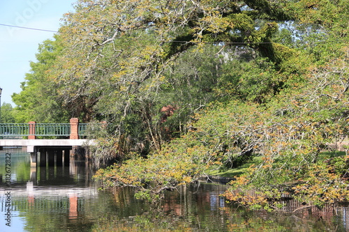 bridge over the river in spring