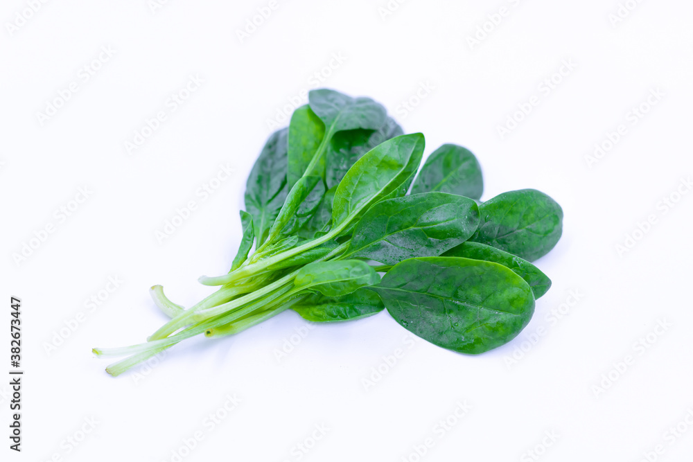 Young fresh spinach leaves on a white background. Young fresh spinach leaves on a white background.