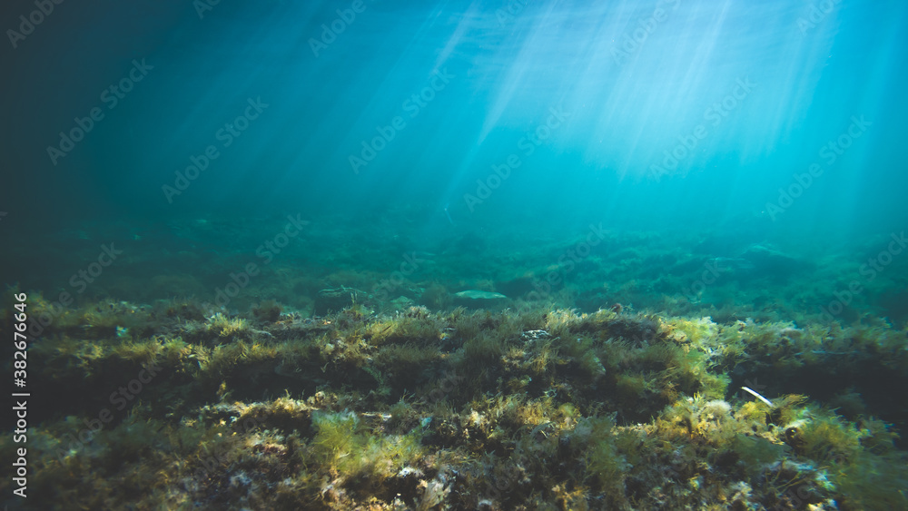 Naklejka premium Underwater