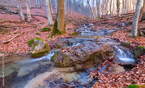 small river rushing over autumn mountain canyon covered a dry leaves