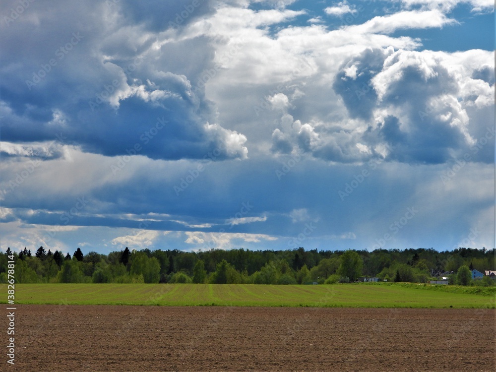 sky, field, landscape, grass, green, meadow, nature, blue, agriculture, summer, cloud, clouds, rural, horizon, spring, farm, countryside, land, tree, cloudscape, country, view, cloudy, wheat, scene